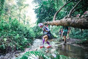 BIB: 
                            <button type="button" onclick="openModal(25442787)" class="btn btn-primary btn-sm float-right btn-popup" data-toggle="modal" data-target=".modal-high-quality">
                        <i class="fas fa-shopping-cart"></i> Add to Cart
                    </button>
                                            <button type="button" onclick="isThisMe(25442787, true)" class="btn btn-success btn-sm float-right btn-popup btn-isme hidden" data-toggle="tooltip" data-placement="bottom" title="นี่คือรูปของคุณใช่ไหม คลิกที่นี่เพื่อเอาเข้าอัลบั้ม">
                        <i class="fas fa-plus"></i> Add to album
                    </button>
                    <button type="button" onclick="isThisMe(25442787, false)" class="btn btn-warning btn-sm float-right btn-popup btn-isnotme hidden">
                        <i class="fas fa-ban"></i> Remove from album
                    </button>